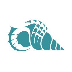 Eckerd College shell logo